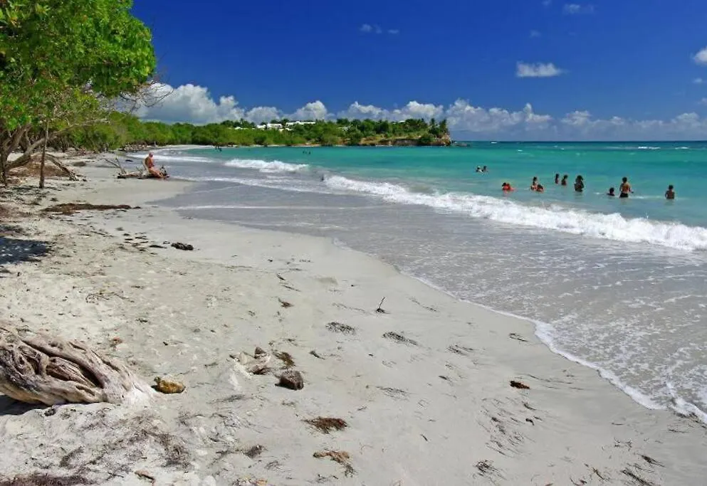 Paradise Duplex Avec Piscine Et Acces Plage Le Gosier  Guadeloupe